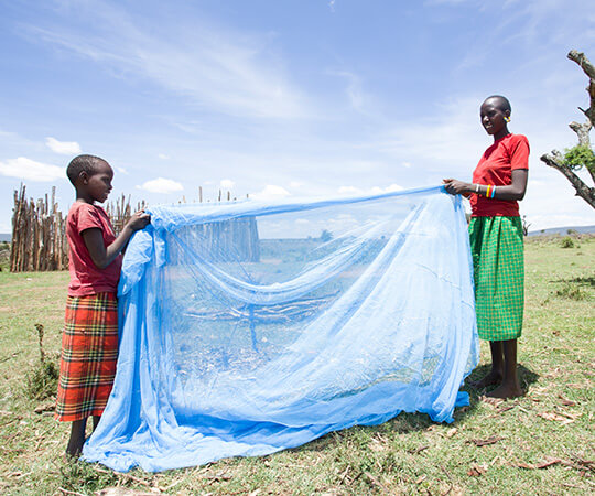 malaria: lo que debe saber 